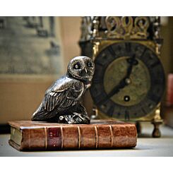 Owl Paperweight