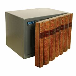 Large electronic book safe